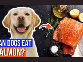 can dogs eat salmon fish skin